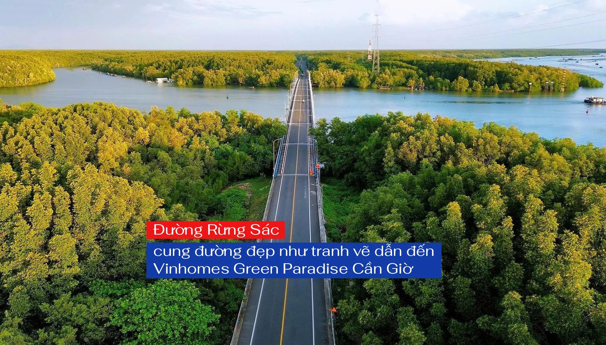 Duong-Rung-SAc-Can-Gio