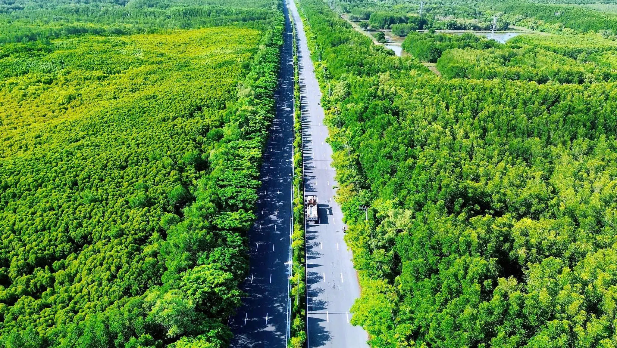 Đường Rừng Sác- Cần Giờ